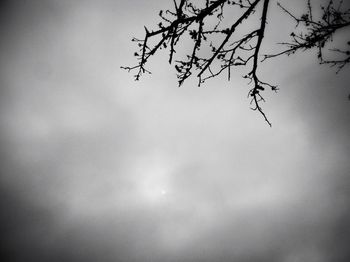 Low angle view of bare tree against sky