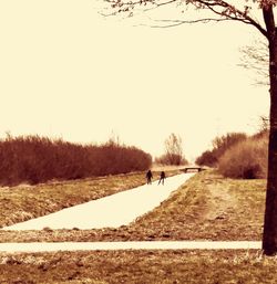 Man walking on road amidst field against clear sky