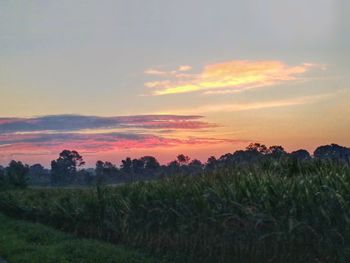 Scenic view of field against sky during sunset