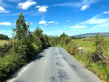 Looking along, pale lane, with trees, bushes, and dry stone walls, and skipton in the far distance.