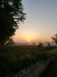 Scenic view of field against sky during sunset