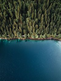 High angle view of lake by trees