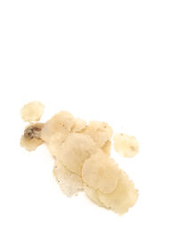 Close-up of bread against white background