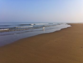 Scenic view of beach against clear sky