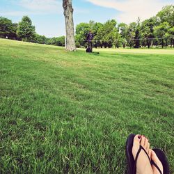 grass