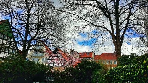 Building with bare trees against sky