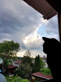Cat looking away against sky