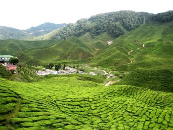 High angle view of agricultural field against mountains