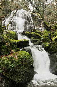 Low angle view of waterfall in forest