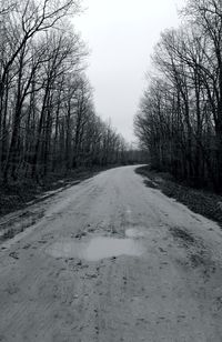 Road amidst bare trees during winter