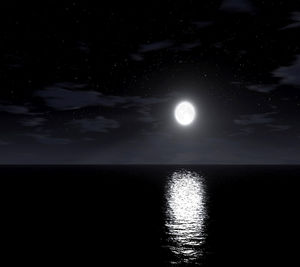 Reflection of trees in water at night