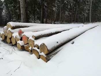 Snow covered log on field during winter