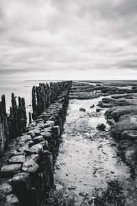 Wooden posts on beach