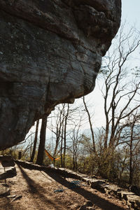 Bare trees on rock formation against sky