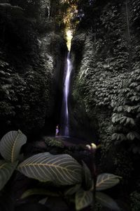 Scenic view of waterfall in forest