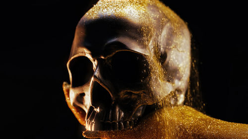 Close-up of human skull