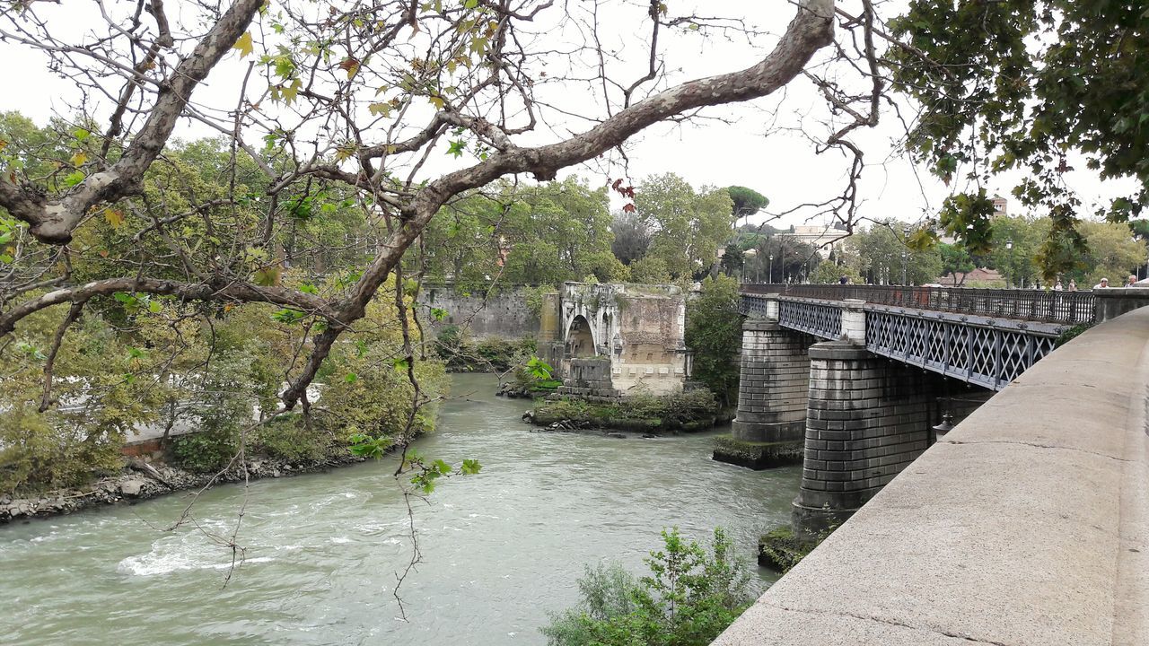 water, bridge - man made structure, tree, connection, river, branch, footbridge, built structure, architecture, tranquil scene, canal, bridge, railing, scenics, day, travel destinations, arch bridge, engineering, outdoors, riverbank, tranquility, waterfront, pedestrian walkway, curve, flowing water, nature, park, footpath, suspension bridge