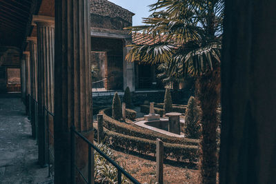 Palm trees and plants in city against sky at dusk