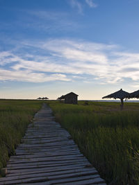 Boardwalk on grassy field against sky