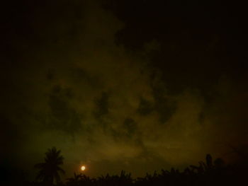 Low angle view of silhouette trees against sky at night