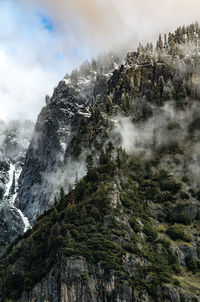 View of trees on mountain against sky