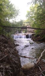 Waterfall in forest