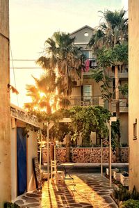 Street amidst plants and buildings in city