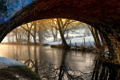 Reflection of bare trees on river during winter