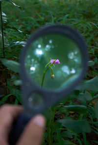 Close-up of hand holding flower