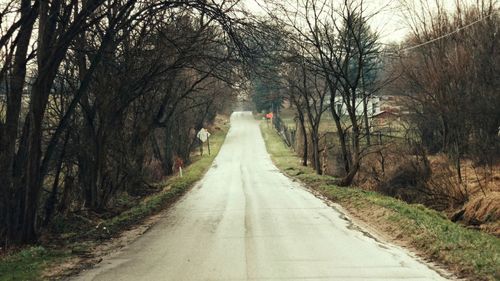 Road amidst trees in forest