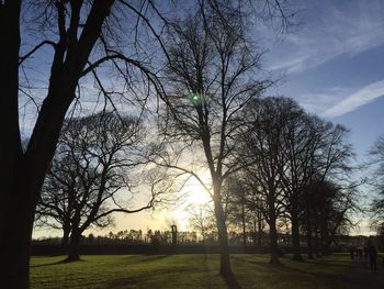 Trees on field against sky during sunset