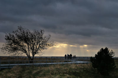 Bare trees on field against sky during sunset