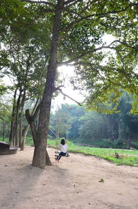 Rear view of man sitting on swing