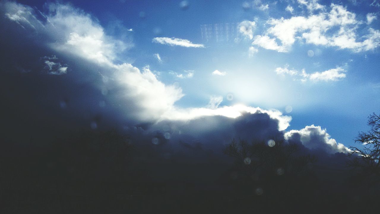 sky, low angle view, tree, tranquility, beauty in nature, scenics, cloud - sky, tranquil scene, nature, sunbeam, silhouette, sunlight, blue, idyllic, sun, cloud, growth, outdoors, cloudy, no people