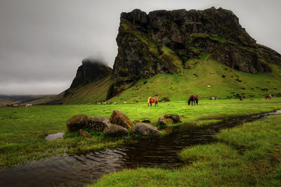 Rear view of people walking on mountain