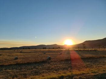 Scenic view of field against clear sky during sunset