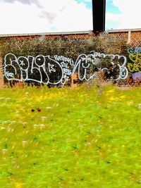 Graffiti on wall of building