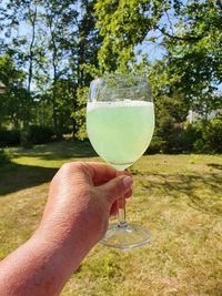 Close-up of hand holding drink