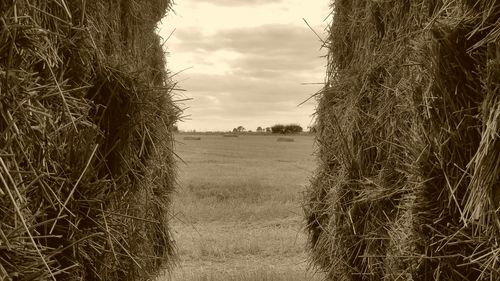 Hay bales on field against sky