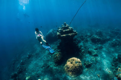 High angle view of fish swimming in sea