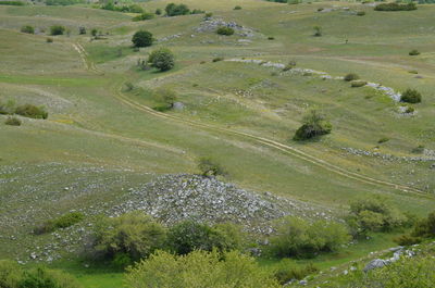 High angle view of field