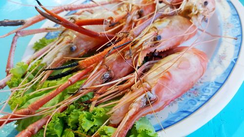 Close-up of prawns