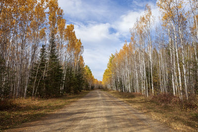 Road amidst trees against sky