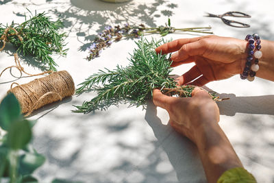 Alternative medicine. collection and drying of herbs. woman holding in her hands a bunch of rosemary 