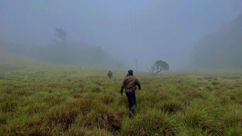 Rear view of man walking on mountain