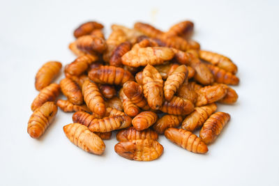 Close-up of food on white background