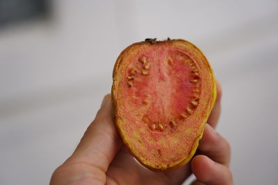 Close-up of person holding apple