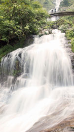 View of waterfall in forest