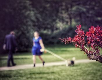 Rear view of people on grass against trees