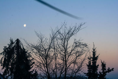 Silhouette tree against sky at dusk